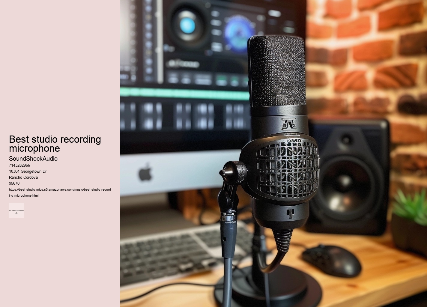 best studio recording microphone