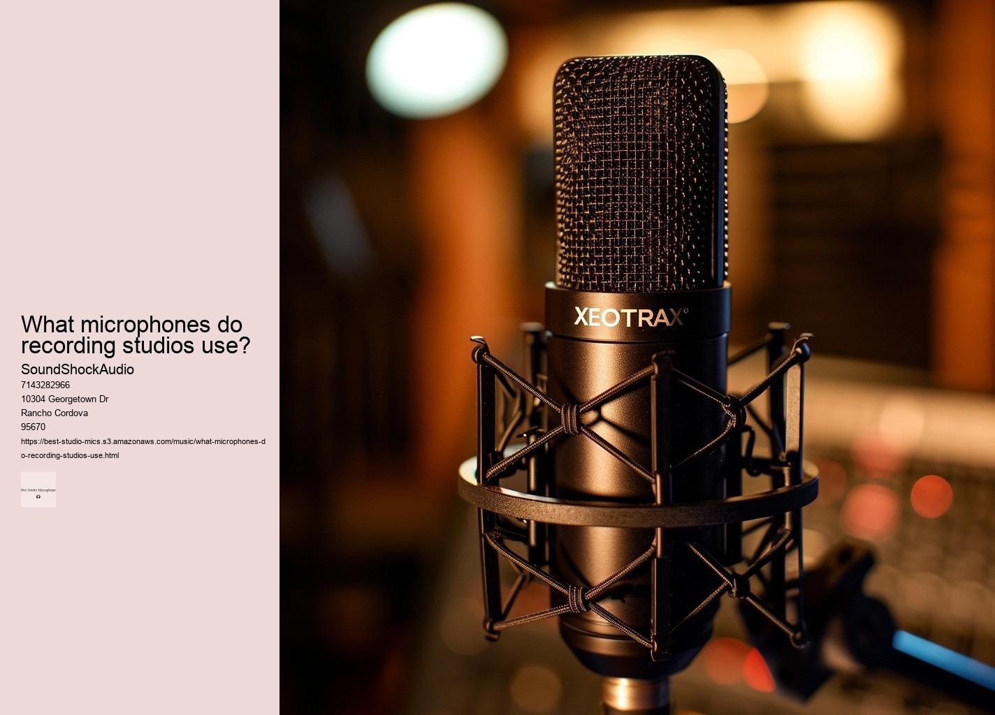 what microphones do recording studios use?
